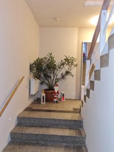 Ferienwohnung Fernblick