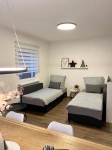 Ferienwohnung, Fischerbach im Kinzigtal