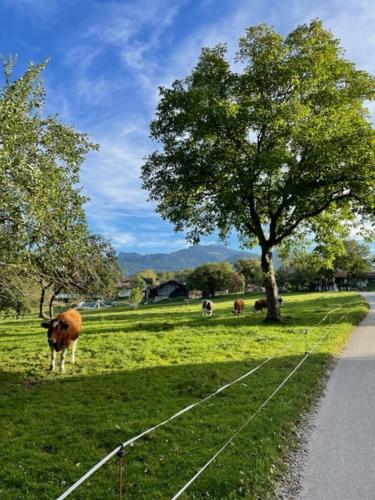 Ferienwohnung Florina