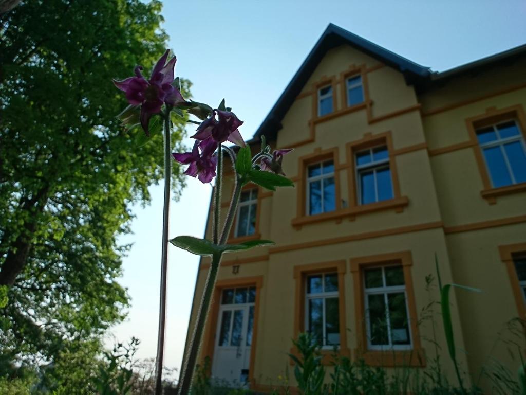 Ferienwohnung Forsthaus 98701 Neustadt am Rennsteig