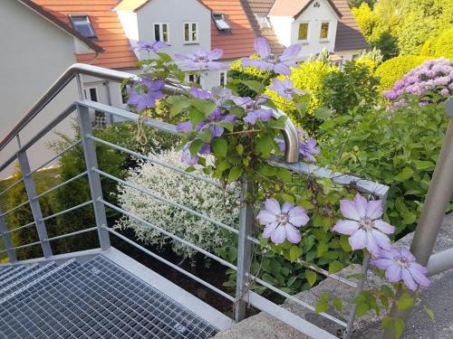 Ferienwohnung Frieda