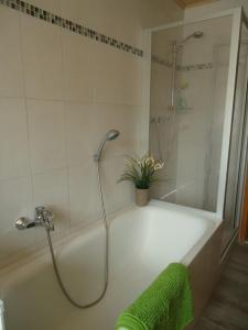 Ferienwohnung Friedmann