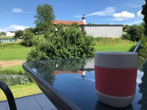 Ferienwohnung „Frosch“