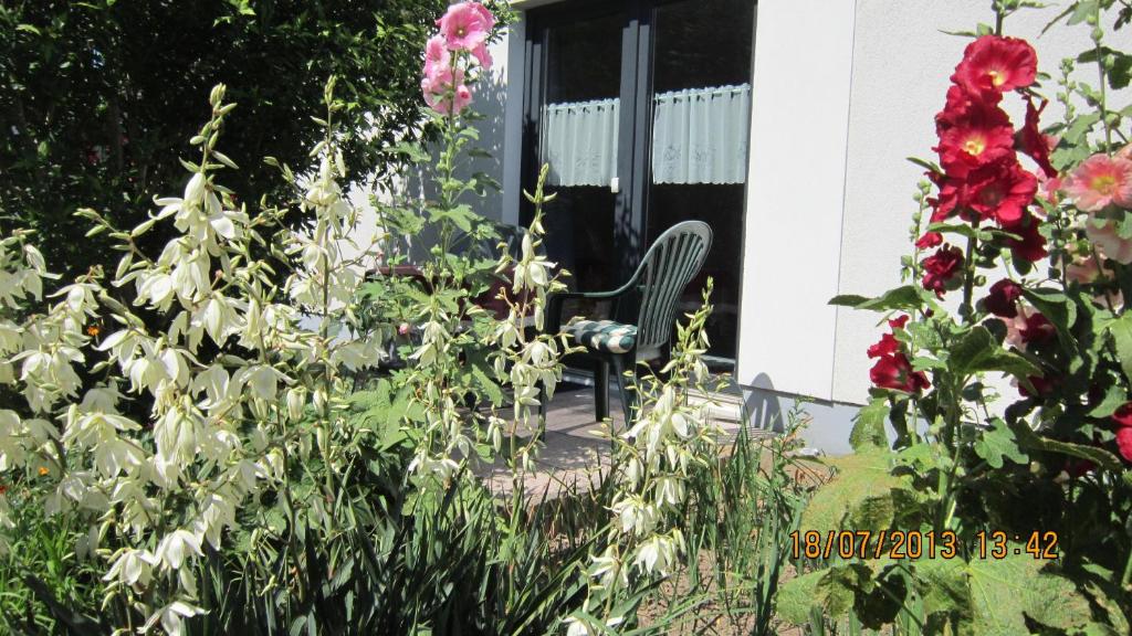 Ferienwohnung Gartenzimmer Stolteraer Weg 16A, 18119 Warnemünde