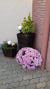 Ferienwohnung Gerhard Lenz