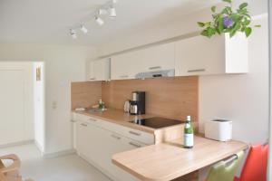 Ferienwohnung Gohrisch