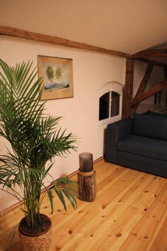 Ferienwohnung Goldgrund Gartenblick
