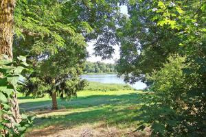 Ferienwohnung Gro_ Plasten SEE 9671