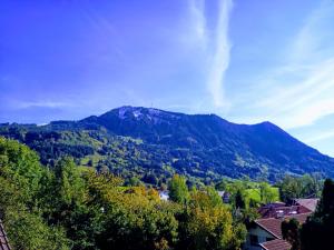 Ferienwohnung Grüntenpanorama im Jägerwinkl