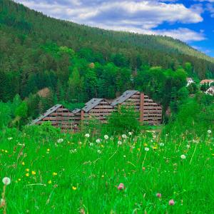 Ferienwohnung Günter im Tonbachtal