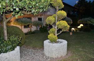 Ferienwohnung Guth