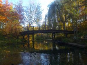 Ferienwohnung Hainbuche Lübben im Spreewald
