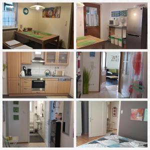 Appartement Ferienwohnung Haller Sulzbergstr. 15 EG 77933 Lahr/Schwarzwald Bade-Wurtemberg