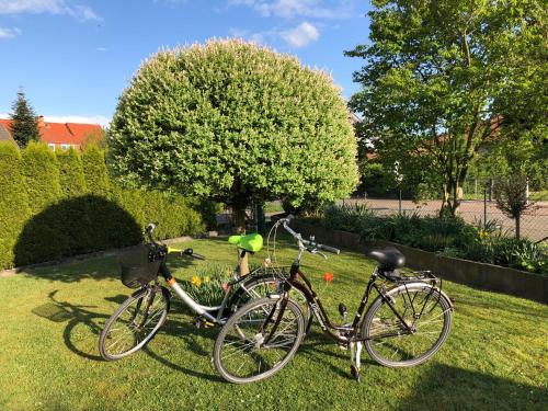 Ferienwohnung Hameln direkt am Weserradweg