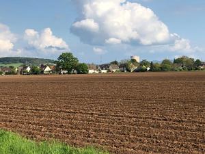 Ferienwohnung Hameln direkt am Weserradweg