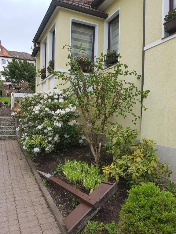 Ferienwohnung Harmonie Steinaer Straße 6, 37441 Bad Sachsa