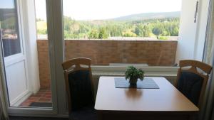Ferienwohnung Harz