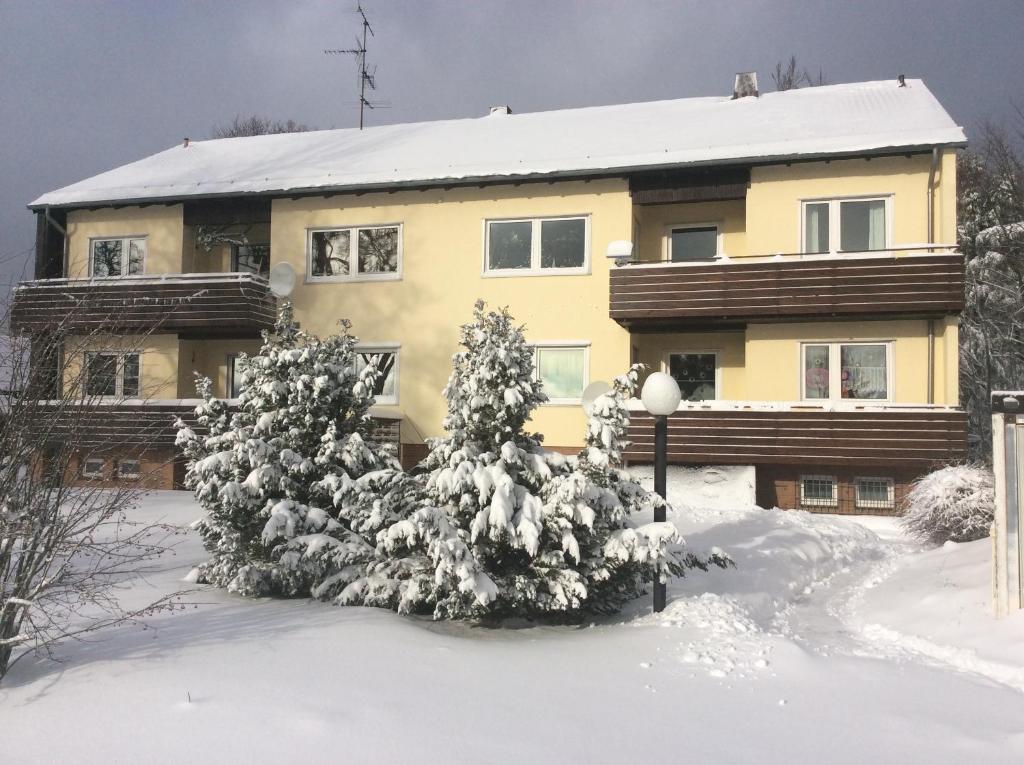 Appartement Ferienwohnung Harzblick Benneckensteiner Straße 38700 Braunlage