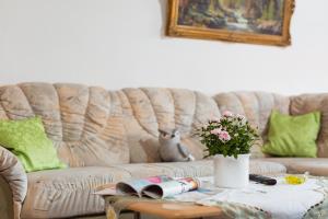 Ferienwohnung Harzblick