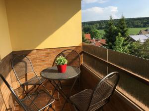 Ferienwohnung Harzsonne