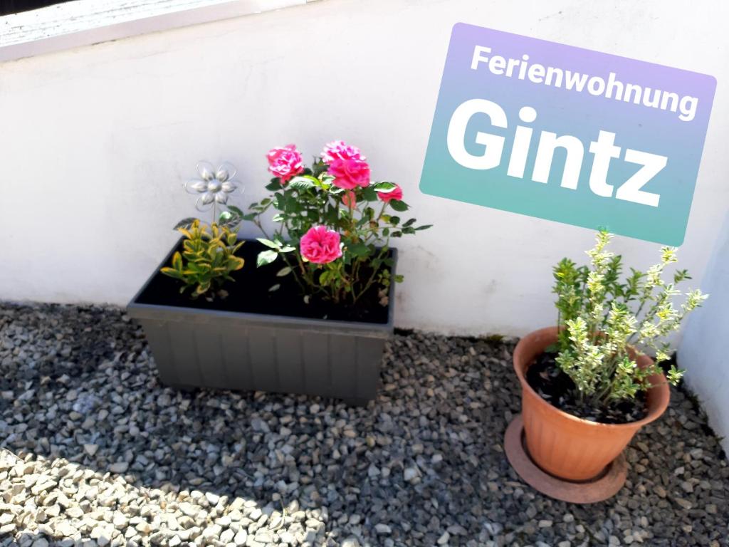 Ferienwohnung Haus Gintz Wolfharistr. 44, 66440 Blieskastel