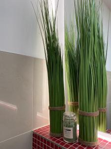 Ferienwohnung Haus Ossenkopp