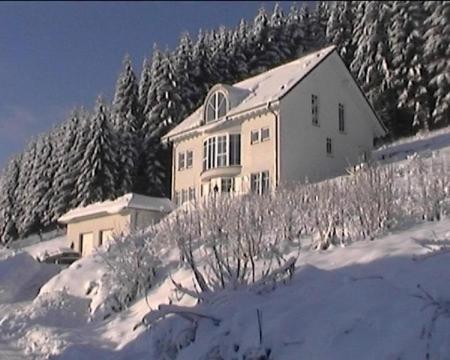 Ferienwohnung Haus Waldesruh Bergstr. 14, 59939 Olsberg