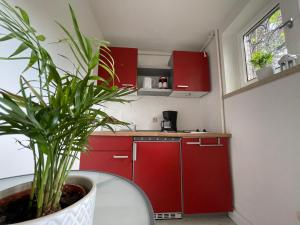 Ferienwohnung Heidis Heidehaus