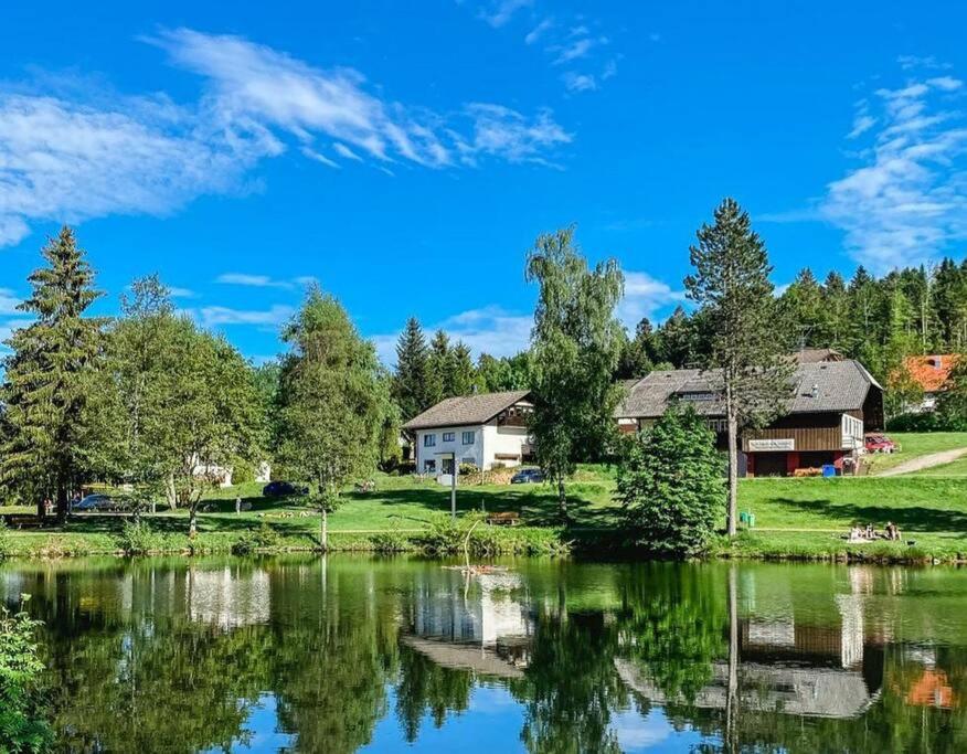 Ferienwohnung \ 3 Am Skilift, 79737 Herrischried