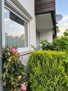 Ferienwohnung Herzzentrum Bad Oeynhausen