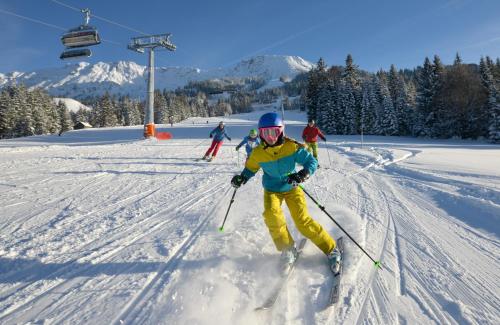 Ferienwohnung Hirschbergblick