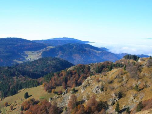 Ferienwohnung Hirschkopf