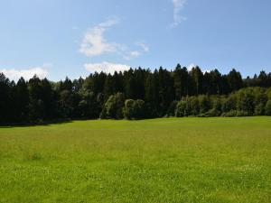 Ferienwohnung Hoherting