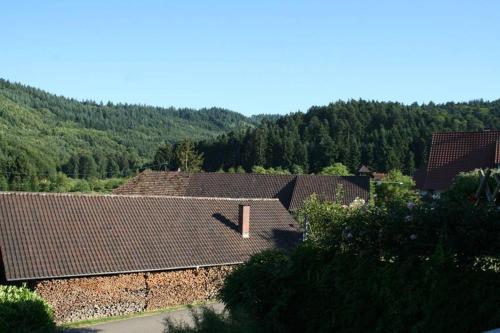 Ferienwohnung Höhner