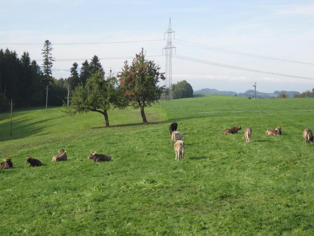 Ferienwohnung Huber Tannenweg 2, 88145 Opfenbach