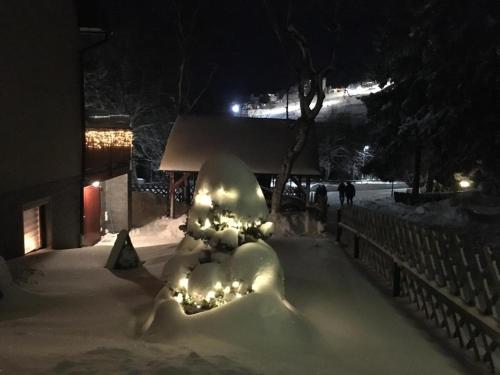 Ferienwohnung Illing direkt am Ski und Rodelhang