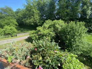 Ferienwohnung im Brohlbachtal