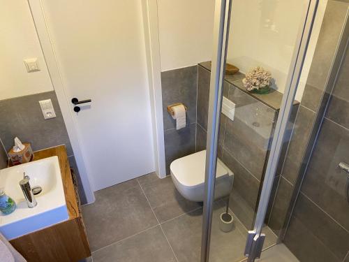Ferienwohnung im Chalet Scheibenberg