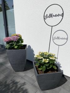 Ferienwohnung Im Dhrontal