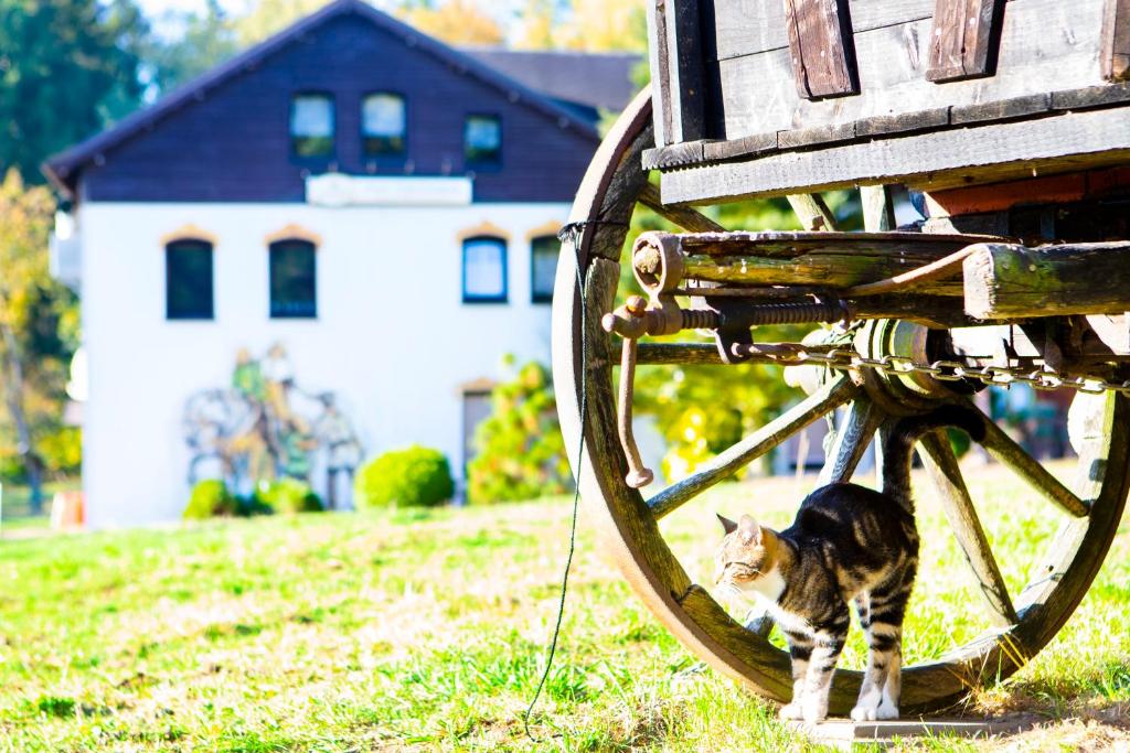 Appartement Ferienwohnung im Erzgebirge 9 Am Fürstenberg 2. Etage 08344 Grünhain-Beierfeld