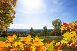 Appartement Ferienwohnung im Erzgebirge 9 Am Fürstenberg 2. Etage 08344 Grünhain-Beierfeld Saxe