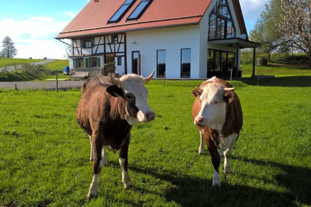 Ferienwohnung im Fachwerk mit Bergblick in Alleinlage 88410 Humberg