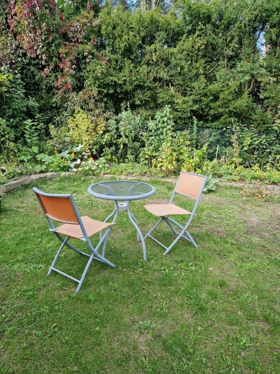 Ferienwohnung im Grünen 16 Oehlertplatz, 12169 Berlin