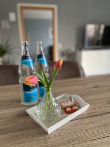 Ferienwohnung - Im Grünen - mit schönem Blick in die Natur