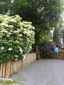 Ferienwohnung im Harz-Haus-Bruns
