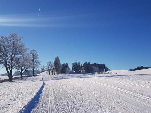 Ferienwohnung im kuhlen Allgäu