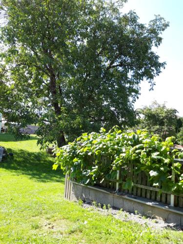 Ferienwohnung im Seidlerhof mit Balkon und Garten