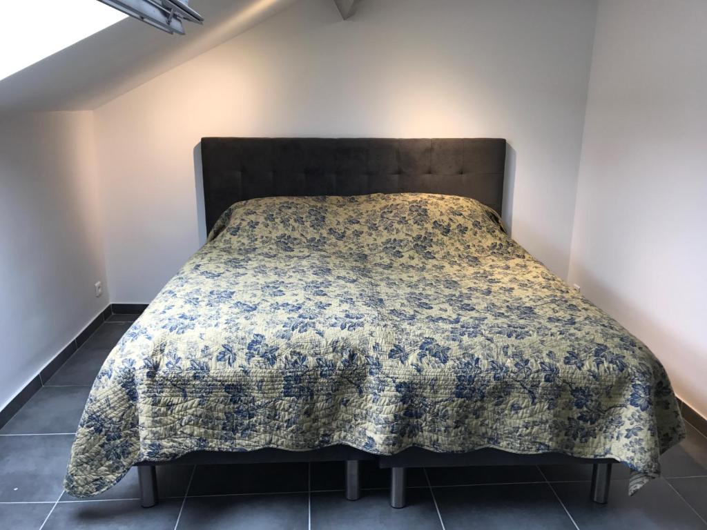 Ferienwohnung in bester Lage Kassels 34125 Cassel