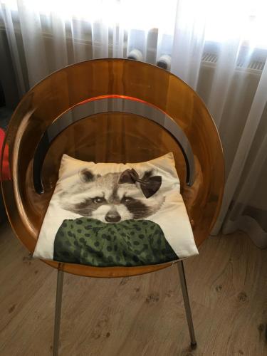 Ferienwohnung in Domnähe