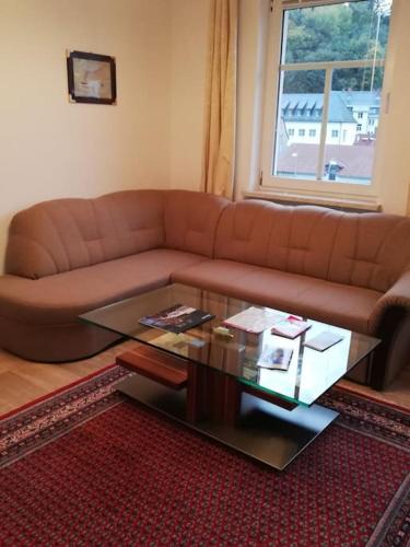 Ferienwohnung in Glashuette, bei Berggiesshuebel,